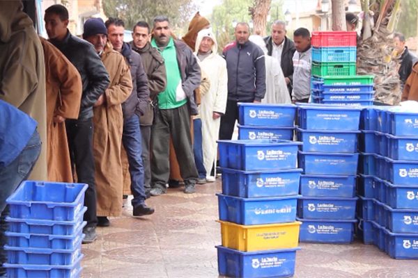 الواقع المر.. البحث عن كأس الحليب يُنسي الجزائريين كأس العرب