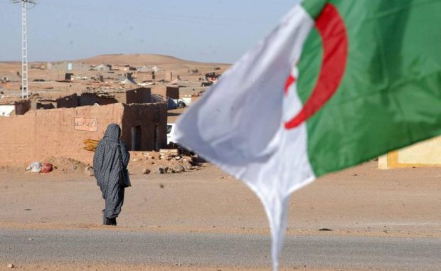محلل سياسي: غوتيريش دعا جميع الأطراف وعلى رأسها الجزائر إلى تحمل مسؤوليتها لإنهاء نزاع الصحراء