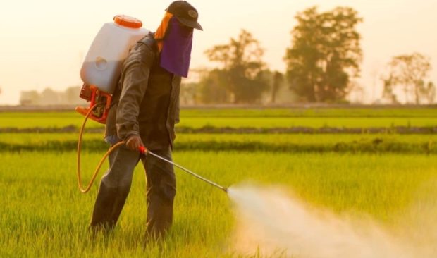 بسبب استعمال المبيدات.. وزارة الفلاحة تُتلف 30 طنّا من المحاصيل الزراعية