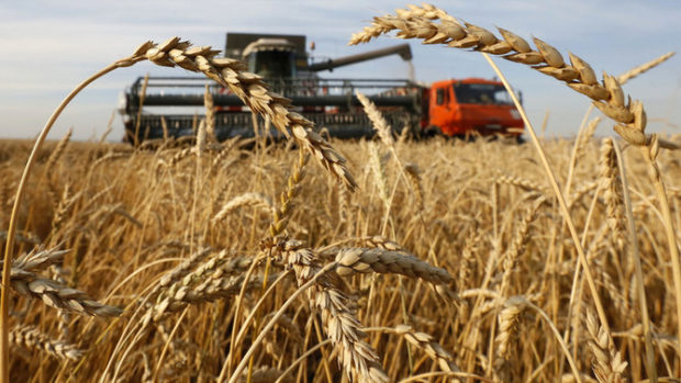اتفاق روسي أوكراني من أجل عودة تصدير الحبوب.. هل ستنخفض الأسعار في المغرب؟