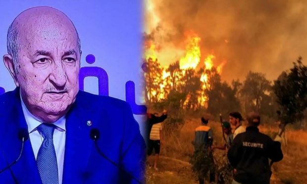“إل كونفيدنسيال”: الجزائر دفعت ثمنا باهظا في الحرائق بسبب إلغاء التعامل مع إسبانيا