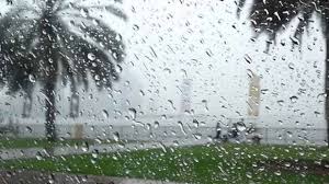 أمطار متفرقة وصقيع.. توقعات الأرصاد الجوية لطقس اليوم الخميس