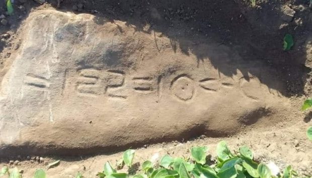 حروف “تيفناغ” على صخرة في الجديدة.. معهد الآثار يكشف التفاصيل العلمية والتاريخية