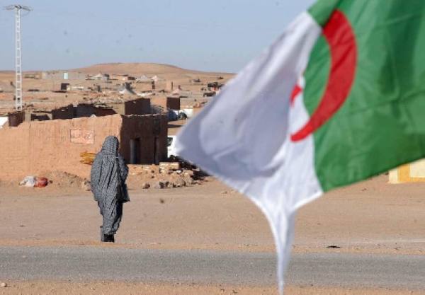 خروقات إنسانية وأخلاقية.. السفير هلال يفضح انتهاك الجزائر لحقوق الإنسان في مخيمات تندوف