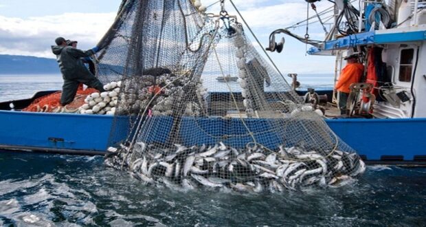 لتعزيز قدرة القطاع على التصدير.. الحكومة تصادق على تخفيض رسوم استيراد آليات الصيد البحري