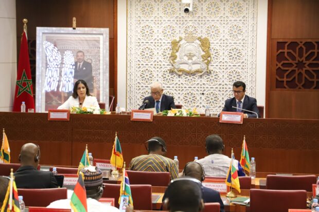 رئيسة لجنة الخارجية بمجلس النواب: استراتيجية المغرب الإفريقية مبنية على الصدق والتضامن (فيديو)