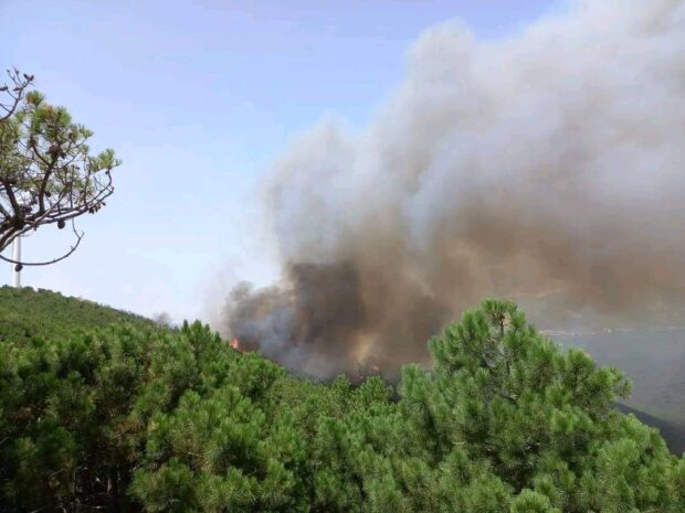 إقليم الفحص أنجرة.. عناصر الوقاية المدنية تنجح في إخماد حريق غابوي