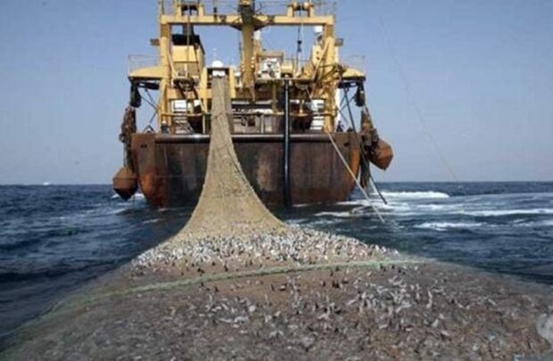 اتفاق الصيد البحري مع الاتحاد الأوروبي.. تكريس شرعية المغرب في استغلال سواحله من شمالها إلى جنوبها