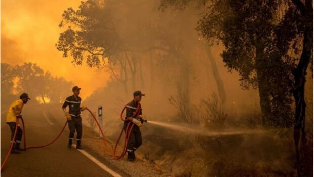 ردو البال لحرائق الغابات.. هاد المناطق مصنفة خطر!