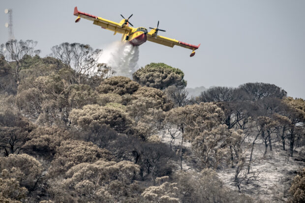 حريق غابة كاب سبارتيل بطنجة.. تدخل 4 طائرات كانادير (صور)