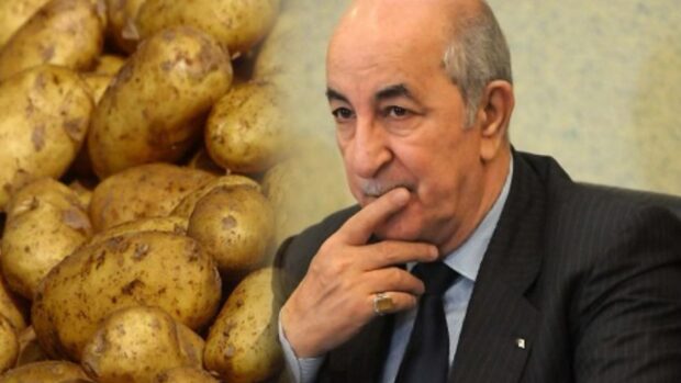 بسبب البطاطا.. تبون ينهي مهام وزير الفلاحة الجزائري