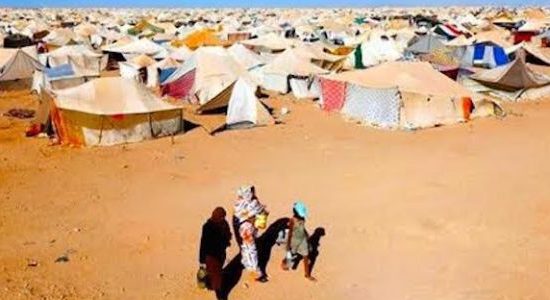 الأمم المتحدة.. المغرب يفضح انتهاكات حقوق الإنسان في مخيمات تندوف