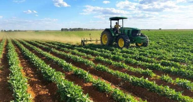 تقرير “أكسفورد للأعمال”: توسع الأراضي المزروعة الإفريقية يمثّل 52 بالمائة من إجمالي التوسع العالمي