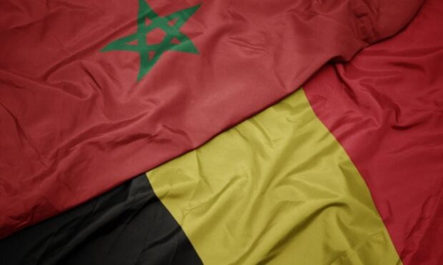 الصحراء المغربية..بلجيكا تجدد دعمها لمبادرة الحكم الذاتي