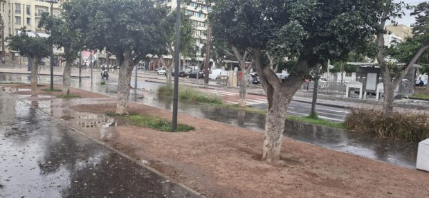 سرّدات الشجر والحجر.. أمطار الخير تُعيد إلى شوارع كازا جماليّتها (صور)