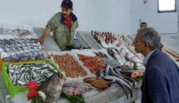 سعر سمك الفقراء “السردين” بلغ 25 درهما.. ارتفاع أسعار الأسماك يصل إلى البرلمان