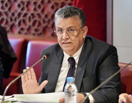 من أجل تفعيل “أنجع” لقانون العقوبات البديلة.. وهبي يدعو إلى التعاون بين المؤسسات المعنية