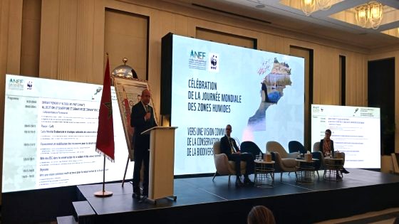 البيئة أولويةٌ لا ترف.. المغرب يربحُ الرهان ويُنتخب ممثلاً لشمال إفريقيا
